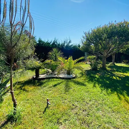 Evasion Tropicale - Studio Artiste Bali & Jacuzzi 