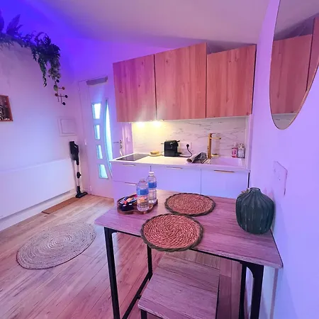 évasion Tropicale - Artiste Bali&jacuzzi Pour Le Avec Baignoire Mérignac