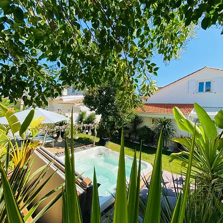 Evasion Tropicale - D'artiste Avec Jacuzzi Prive Dans Un Jardin Exotique Homestay